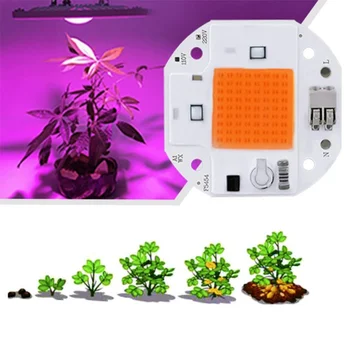 Teljes spektrumú növény fény beltéri növény növekedési 20W 30W 50W LED COB gyöngy chip AC220V kertészet, virág növekedés világítás